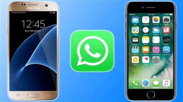 WhatsApp: su iOS WhatsApp Business per tutti, su Android due importanti novità con l’ultima beta