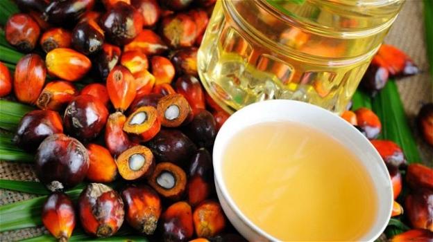 I prodotti privi di olio di palma non sono più salutari di quelli che lo contengono