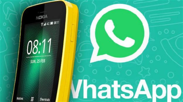 WhatsApp: no agli inviti selvaggi ai gruppi anche nello spin-off Business, e sbarco sul bananaphone Nokia 8110 4G