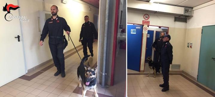 Padova: carabinieri impegnati in perquisizione a tappeto nelle scuole, 18enne beccato con 6 grammi di erba