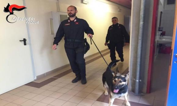 Padova: carabinieri impegnati in perquisizione a tappeto nelle scuole, 18enne beccato con 6 grammi di erba