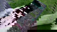 1556878981_5ccc16849ac32