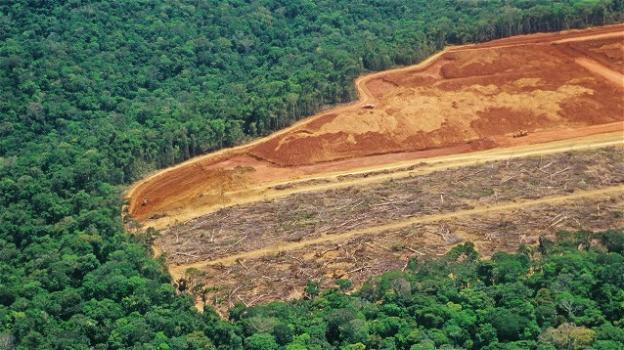 Nel 2018 sulla Terra è sparita una foresta grande quanto l’Inghilterra