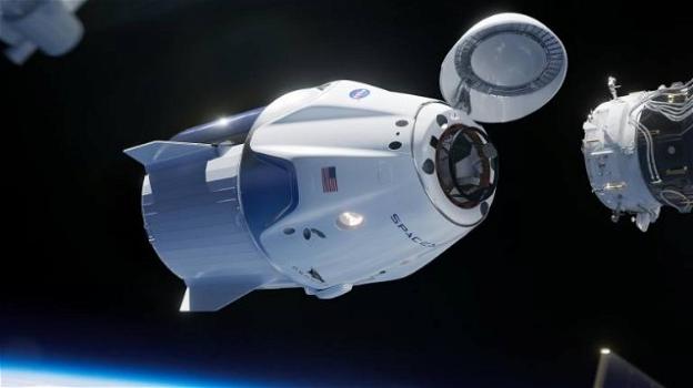 SpaceX: la capsula Dragon è volata alla volta della ISS, con dei mini organi umani