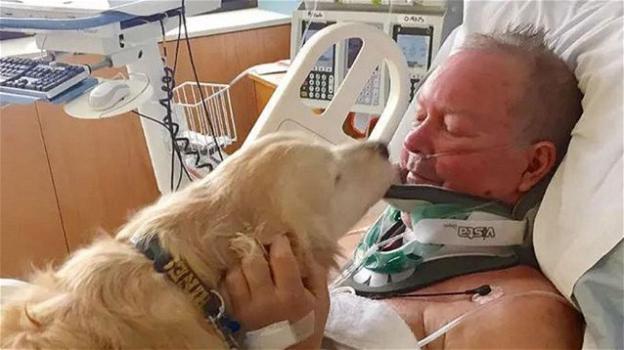 Cane salva il proprietario, rimasto paralizzato nella neve, tenendolo al caldo con il corpo