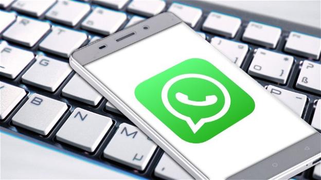 WhatsApp: pubblicità negli Status (presto condivisibili) nel 2020, codici QR, cautele per le europee
