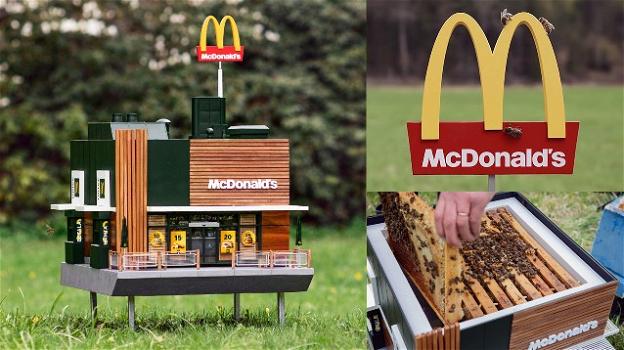 McDonald’s lancia il più piccolo ristorante del mondo: i suoi clienti saranno le api