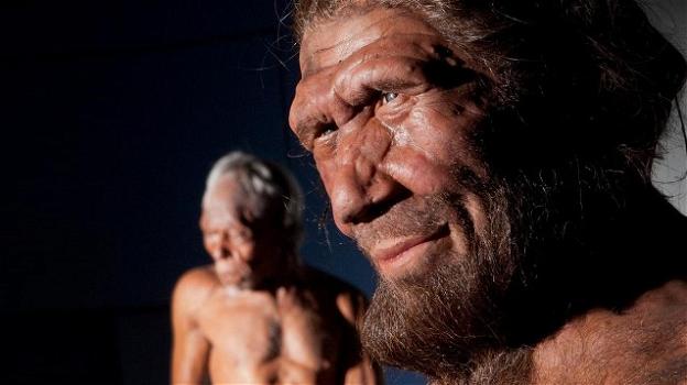 Una ricerca svela la causa dell’estinzione dell’uomo di Neanderthal