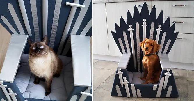Game Of Thrones: i vostri animali potranno riposare sul trono di spade