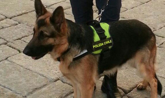 Rito voodoo per diventare invisibili agli occhi dei poliziotti: corrieri della droga nigeriani arrestati