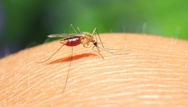 10pcs Regolatore Di Tensione L7805 - 5V, 1.5A, Per Circuiti Di Alimentazione - Foto 2