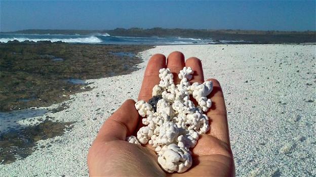 A Fuerteventura c’è una spiaggia fatta di popcorn