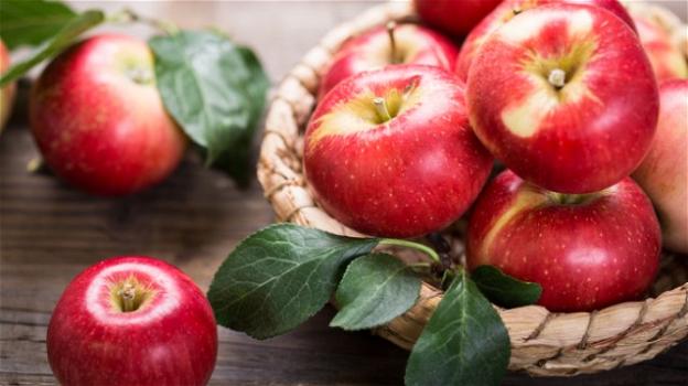 Proprietà e benefici delle mele