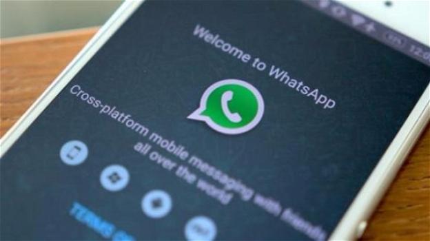 WhatsApp: in test il pulsante per nascondere gli Stati che, presto, potranno anche essere condivisi