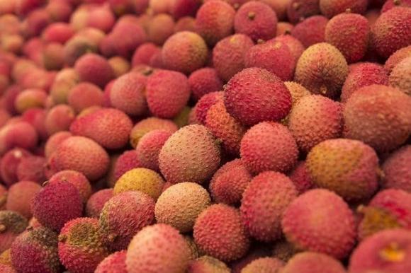 Litchi, è strage di bambini morti dopo averlo mangiato: questo frutto tropicale può essere molto pericoloso