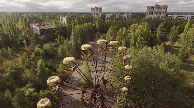Il disastro di Chernobyl ha permesso di scoprire la capacità di adattamento delle piante