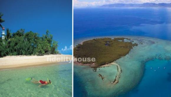 Il lavoro dei sogni: cercasi custode per un’isola tropicale. Hai poco tempo per candidarti