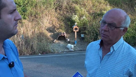 Il proprietario muore in un terribile incidente: il suo cagnolino lo aspetta in quel punto da un anno e mezzo