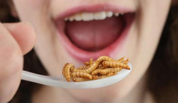 Blogger muore in diretta dopo aver mangiato gechi e insetti velenosi