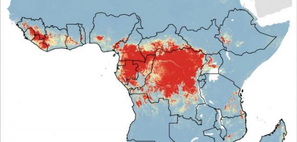 Torna l’incubo Ebola: 2.500 persone infettate, 1.600 morte