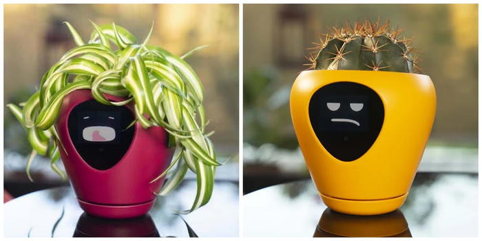 Ecco il vaso che trasforma le tue piante in Tamagotchi