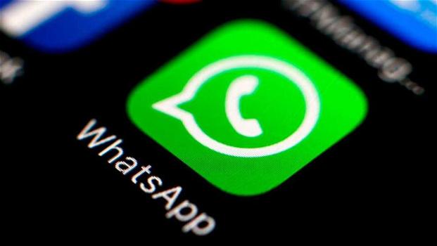 WhatsApp: allo studio una funzionalità per sapere quante volte sia stato inoltrato un messaggio