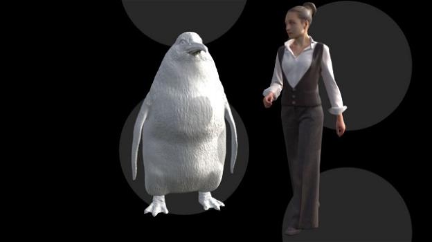 Nuova Zelanda: scoperto fossile di un pinguino gigante di dimensioni umane