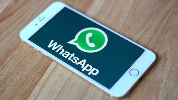 WhatsApp: nella beta per iOS arriva il renaming e il supporto diretto verso le Memoji