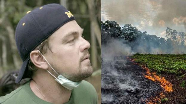 Il sensazionale gesto di Leonardo DiCaprio: dona 5 milioni di dollari per salvare la foresta amazzonica