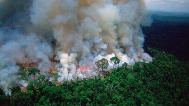 Amazzonia: Apple ha annunciato una donazione per combattere gli estesi incendi di questi giorni