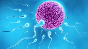 Cina: gemelli sì, ma non figli dello stesso padre
