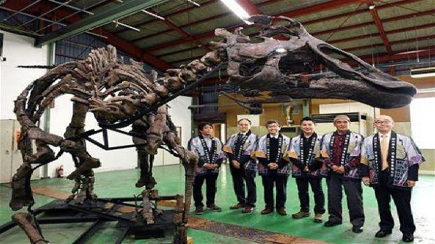 Scoperta una nuova specie di dinosauro in Giappone: "Kamuysaurus japonicus" era alto 8 metri e pesava 4-5 tonnellate