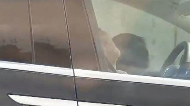 USA: spopola il video dei due uomini che dormono nella Tesla che sfreccia in autostrada