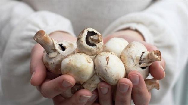 Mangiare funghi riduce il rischio di sviluppare il tumore alla prostata