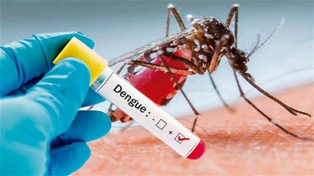 Dengue a Firenze: un nuovo caso mette in allarme il quartiere. In arrivo le disinfestazioni