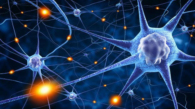 Identificati i neuroni responsabili della scomparsa dei ricordi