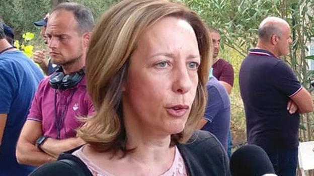 Silvia Vono ha parlato degli insulti personali ricevuti dai grandi rappresentanti del Movimento Cinque Stelle