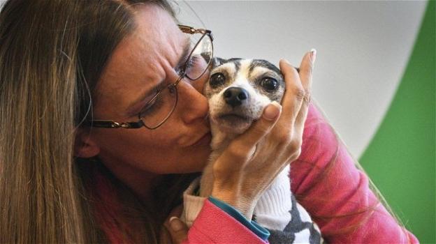 Cane ritrovato a 1.600 km di distanza da casa 12 anni dopo la scomparsa
