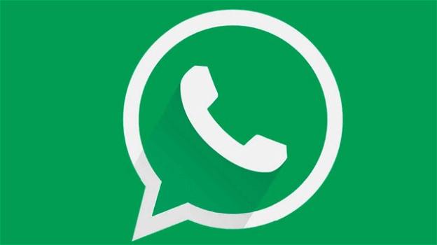 WhatsApp beta per iOS: novità per l’app standard e lo spin-off Business