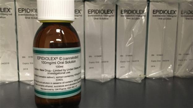 Approvato dall’UE Epidiolex, farmaco a base di cannabis per il trattamento di alcune forme di epilessia