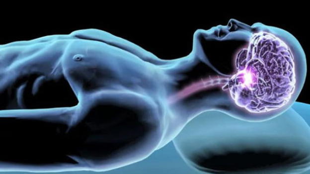 Informazioni non necessarie, il cervello le elimina durante la notte