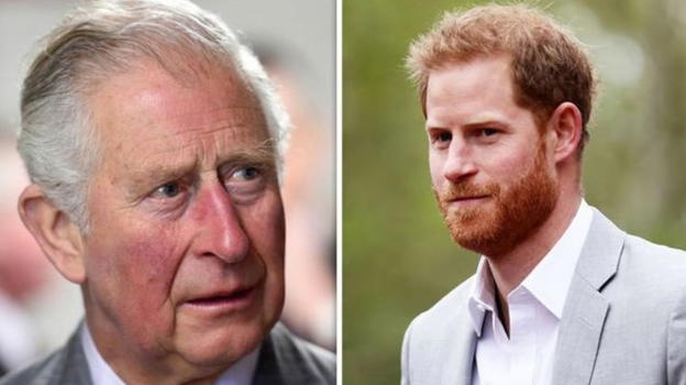 Il principe Carlo furioso con Harry: tensione e crisi nella monarchia