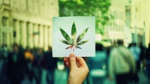La Germania è pronta a dire sì alla cannabis