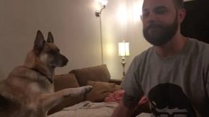 Il cane burlone si prende gioco del padrone: la scena è esilarante!