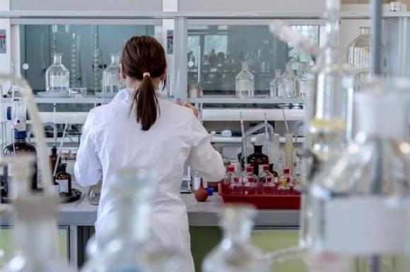 Sotto stress le cellule maschili vanno incontro al suicidio, quelle femminili resistono