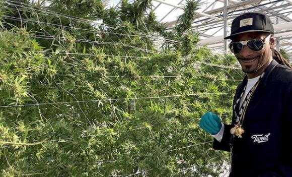 Snoop Dogg assume un rollatore a tempo pieno per girargli le canne