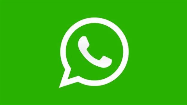 WhatsApp: novità per la privacy e in ottica Business
