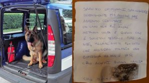 Rocky, il cane antidroga pianto anche dagli spacciatori