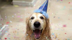 La nuova formula matematica per calcolare l’età dei cani