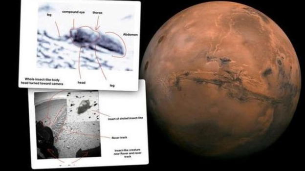 L’entomologo William Romoser ha fornito le prove della vita su Marte